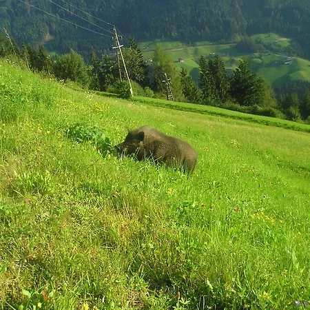 Ferienhaus Rieser Apartman *