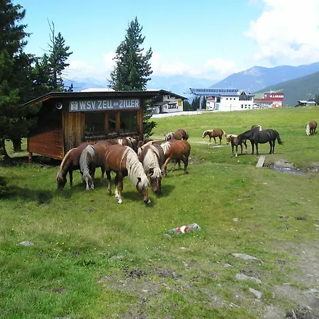 Ferienhaus Rieser *
